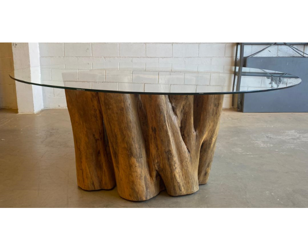 Mesa Raiz