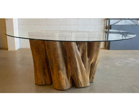 Mesa Raiz